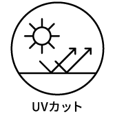 Feature Icon